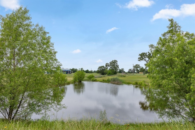 5292 Horseshoe Dr, Anderson, TX 77830 - water view