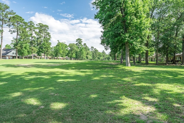 272 Boca Raton Dr, Conroe, TX 77304 - view of green lawn
