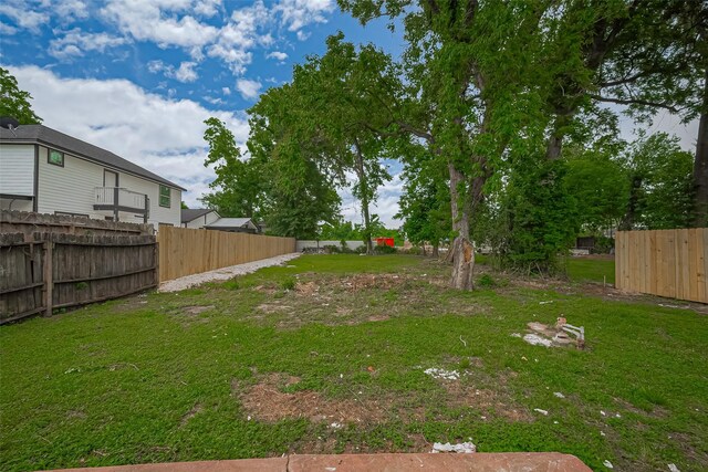 1029 Dolly Wright St, Houston, TX 77088 - view of yard