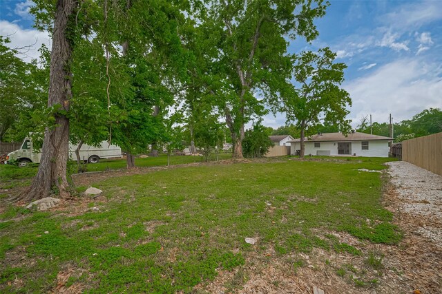 1029 Dolly Wright St, Houston, TX 77088 - view of yard
