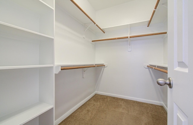 6018 Lamb Crk, Missouri City, TX 77459 - walk in closet featuring carpet floors