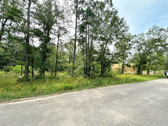 0 Spindle Oaks Dr, Conroe, TX 77385 - photo 4