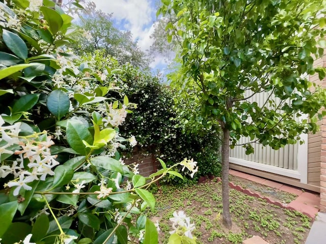 707 Center Hill Dr, Houston, TX 77079 - view of yard