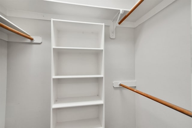 20434 Willow Trace Dr, Cypress, TX 77433 - view of walk in closet