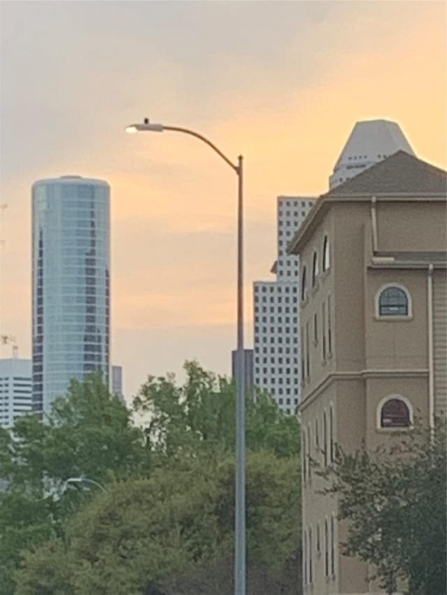 508 W Clay St, Houston, TX 77019 - city view
