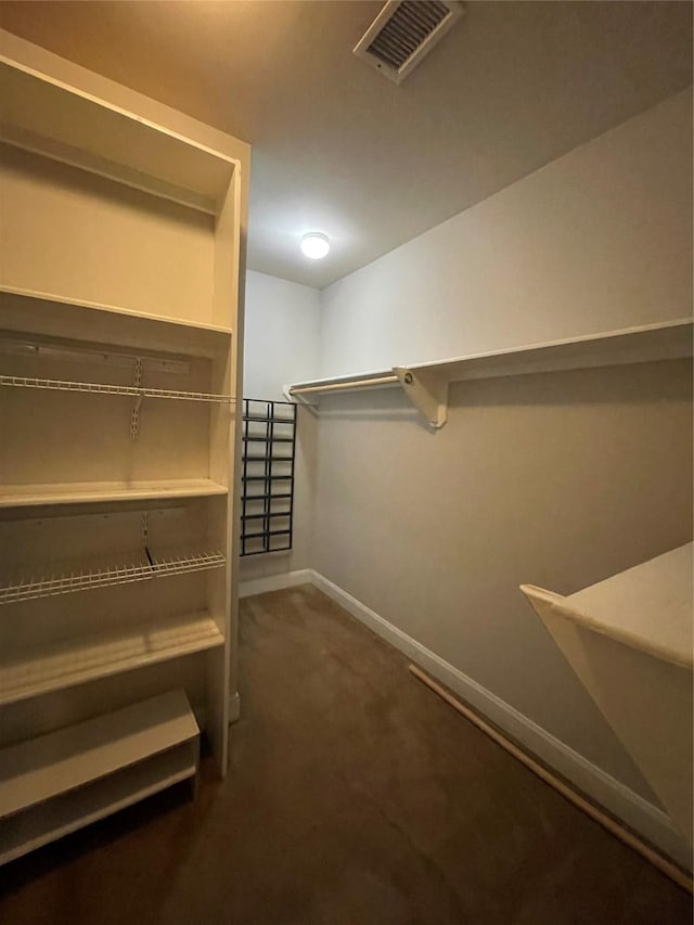 508 W Clay St, Houston, TX 77019 - spacious closet with dark carpet