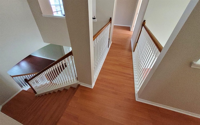 2707 Sun Beam Ct, Pearland, TX 77584 - hall featuring wood finished floors, an upstairs landing, and baseboards