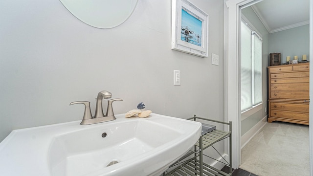 405 N Grace St N, Houston, TX 77003 - bathroom featuring crown molding, a sink, and healthy amount of natural light
