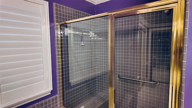 53 S Calla Lily Ct, Lake Jackson, TX 77566 - full bath featuring a shower stall