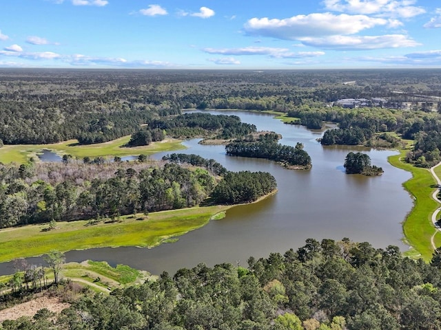 31297 New Forest Park Ln, Spring, TX 77386 - drone / aerial view of a forest and a nearby body of water