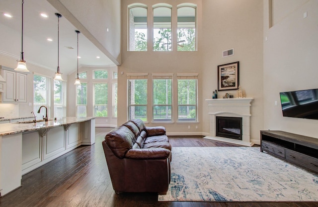 31297 New Forest Park Ln, Spring, TX 77386 - living area featuring dark wood-style flooring, a towering ceiling, a fireplace with raised hearth, and recessed lighting