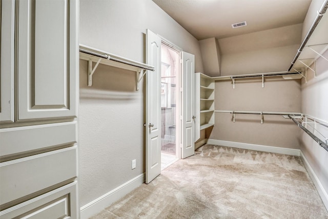 1010 Zoyas Creek Trl, Katy, TX 77494 - walk in closet featuring light carpet