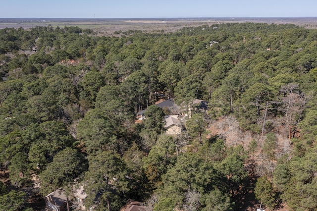 117 Keaau Ct, Bastrop, TX 78602 - aerial view of property's location featuring a forest
