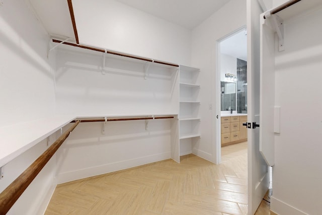 117 Keaau Ct, Bastrop, TX 78602 - view of spacious closet