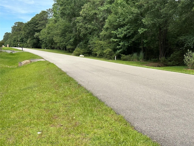 17103 Indigo Hills Dr, Magnolia, TX 77355 - photo 2