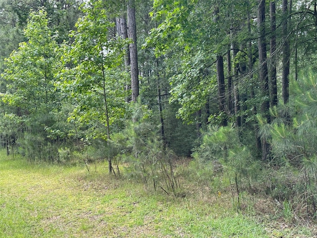 17103 Indigo Hills Dr, Magnolia, TX 77355 - photo 4