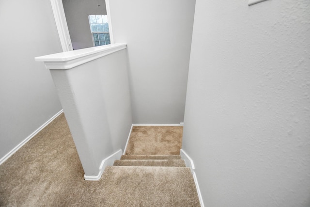 8907 Wildbird Ln, Humble, TX 77338 - stairs featuring carpet flooring and baseboards