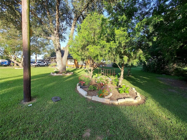 21403 Briar Meadow Rd N, Hempstead, TX 77445 - view of green lawn
