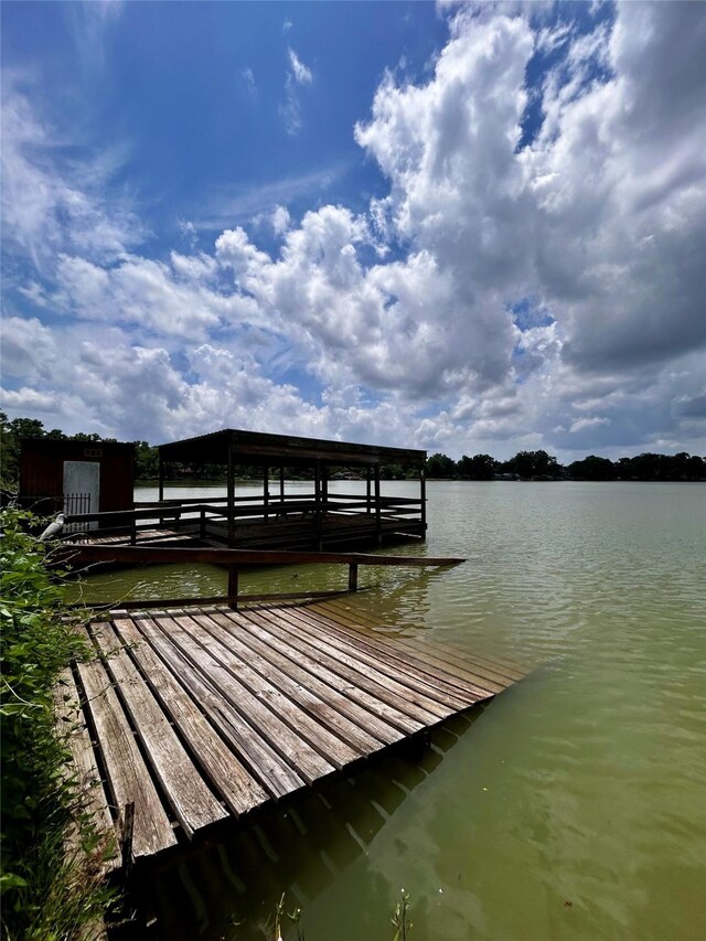 125 Mimosa Pt, Livingston, TX 77351 - dock featuring a water view