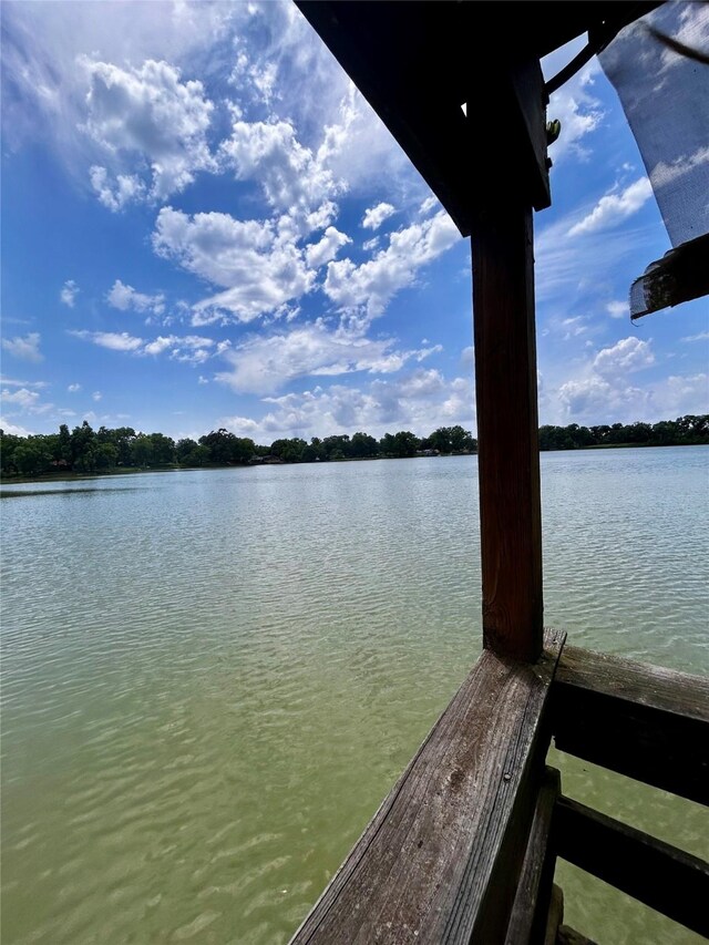 125 Mimosa Pt, Livingston, TX 77351 - water view