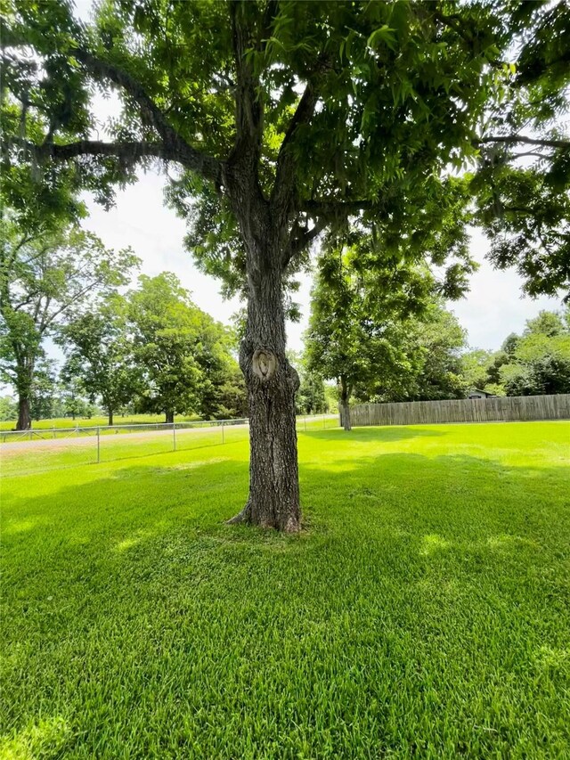 125 Mimosa Pt, Livingston, TX 77351 - view of yard