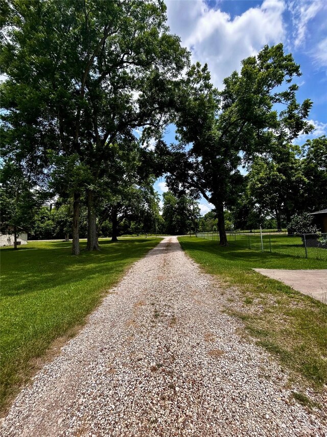 125 Mimosa Pt, Livingston, TX 77351 - view of dirt / gravel road