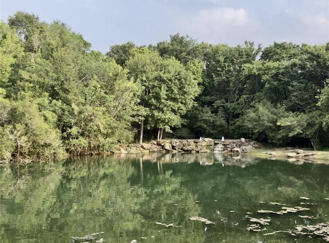 2807 Enchanted Landing Ct, Katy, TX 77494 - water view with a forest