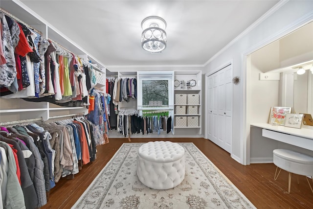 6803 Shady Ln, Richmond, TX 77406 - spacious closet with dark wood finished floors