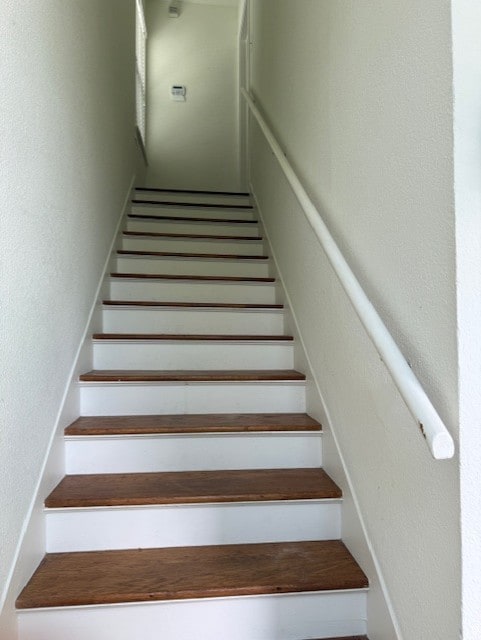 2312 Watts St, Houston, TX 77030 - photo 12