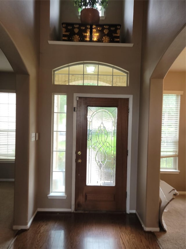 5647 Horseshoe Fls, Missouri City, TX 77459 - entrance foyer featuring baseboards, arched walkways, and wood finished floors