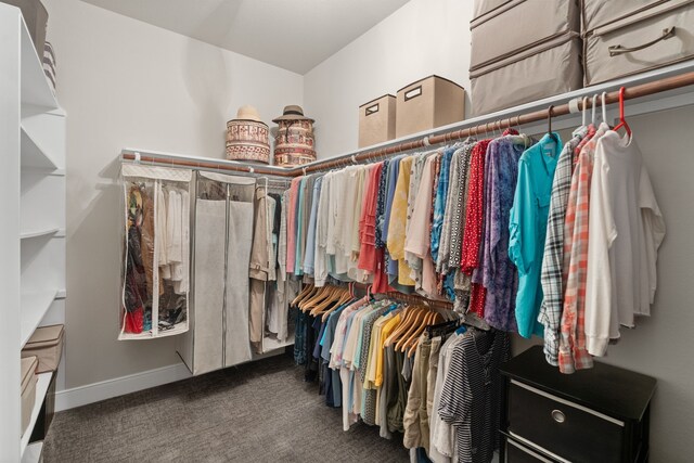 231 Ranch House Ln, Richmond, TX 77469 - spacious closet with carpet