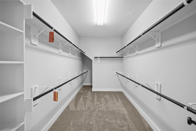17346 Camillia Trl, Conroe, TX 77302 - spacious closet with carpet floors