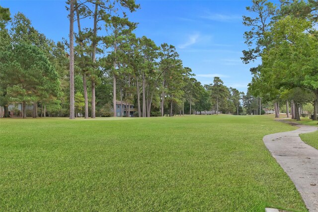 13646 Leafy Arbor Dr, Montgomery, TX 77356 - view of property's community with a yard and view of scattered trees