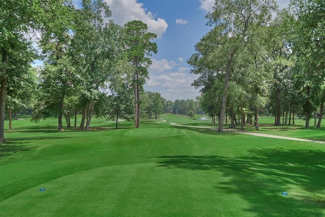 13646 Leafy Arbor Dr, Montgomery, TX 77356 - view of property's community with view of scattered trees, a lawn, and view of golf course