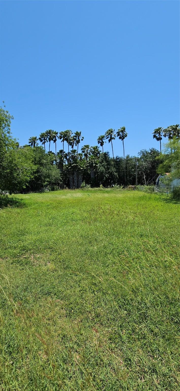 N/A San Miguel Street, Primera, TX 78552