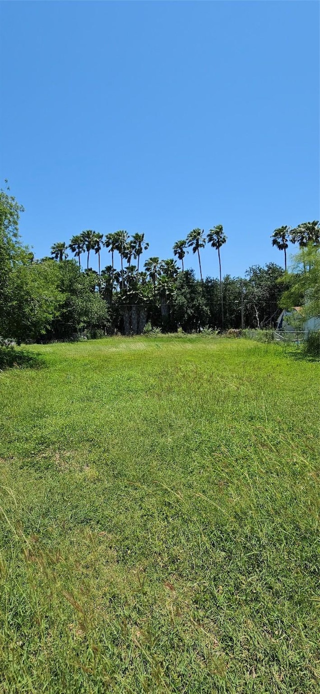 N/A San Miguel Street, Primera, TX 78552