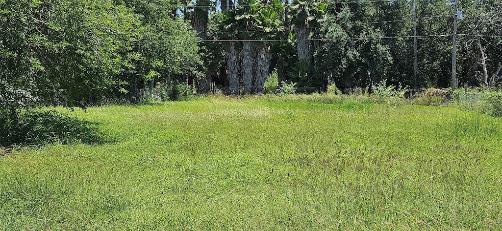 N/A San Miguel Street, Primera, TX 78552