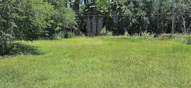 N/A San Miguel Street, Primera, TX 78552