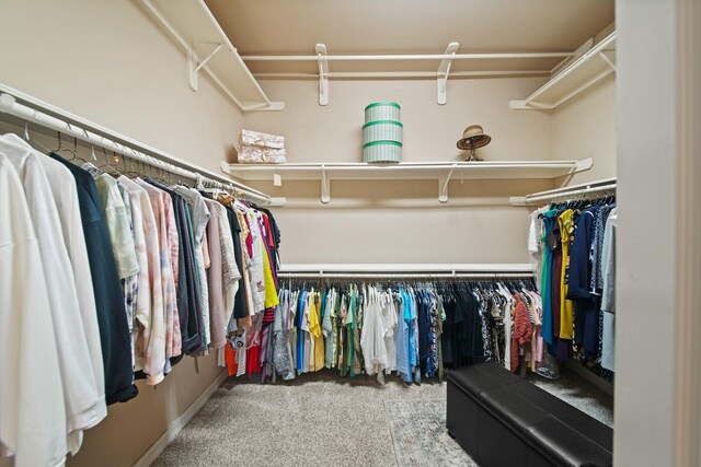 8314 Kelsey Pass, Missouri City, TX 77459 - walk in closet featuring carpet flooring