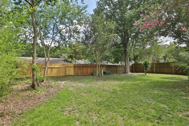 3903 Coltwood Dr, Spring, TX 77388 - view of yard