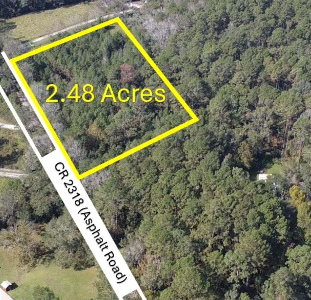 0 County Road 2318, Dayton, TX 77535 - photo 1