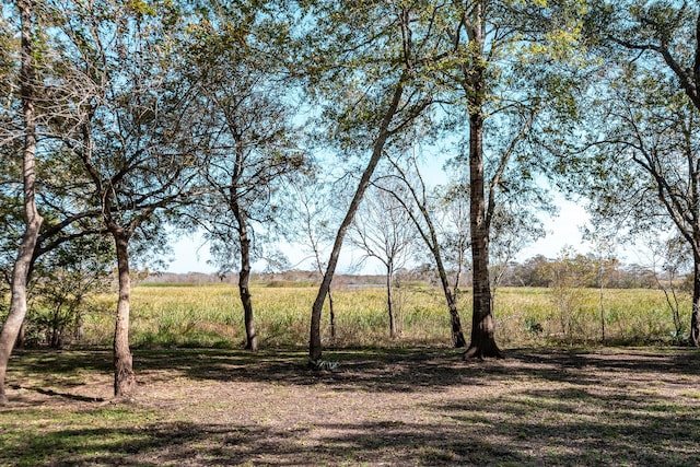 507 Oaks Grande Rd, Baytown, TX 77523 - view of yard