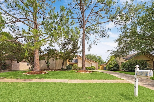 2719 Williams Grant St, Sugar Land, TX 77479 - mid-century inspired home with driveway and a front lawn