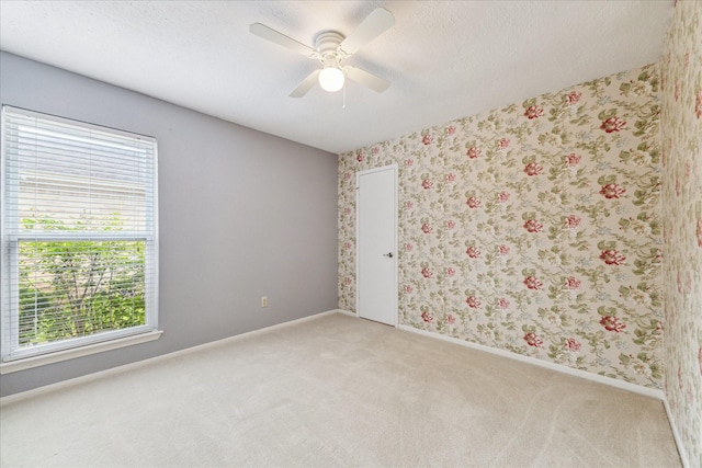 2719 Williams Grant St, Sugar Land, TX 77479 - carpeted empty room with healthy amount of natural light, baseboards, a ceiling fan, and a textured ceiling