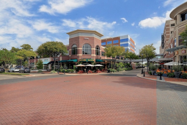 2719 Williams Grant St, Sugar Land, TX 77479 - view of decorative road with curbs, sidewalks, and street lighting