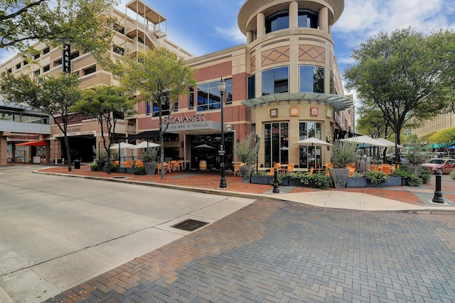 2719 Williams Grant St, Sugar Land, TX 77479 - view of building exterior