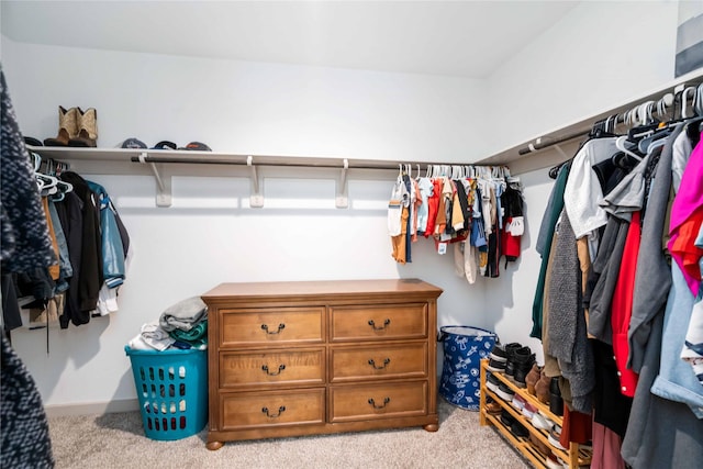 8219 Molasses Way, Rosharon, TX 77583 - walk in closet with carpet