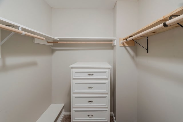 5206 Graystone Ln, Houston, TX 77069 - view of walk in closet