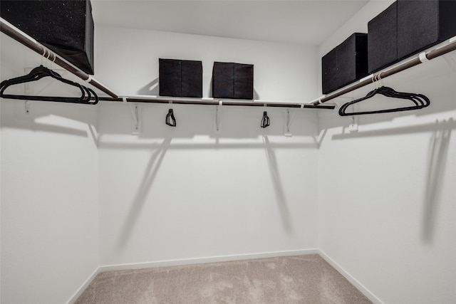 277 Douglas Hills Dr, Magnolia, TX 77354 - spacious closet with light colored carpet