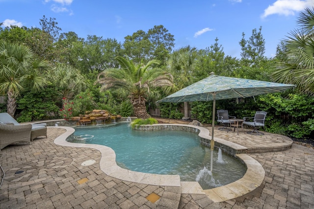 11802 Rue Saint Honore Ct, Tomball, TX 77377 - outdoor pool with a patio area